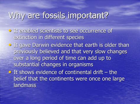 why are fossils important.